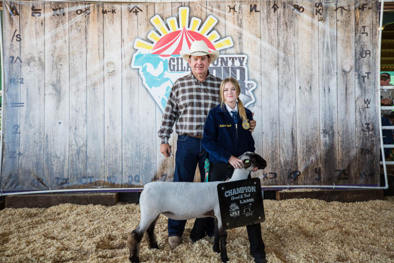 Livestock Auction Results Gila County Fair 2019 Globe Miami Times