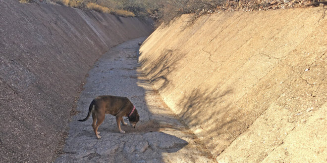 The concrete spillway with the author's dog (for scale). Photo by Kim Stone.